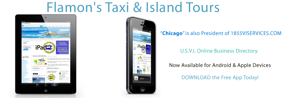 THE REAL DEAL UNITED STATES VIRGIN ISLANDS - Flamon's Taxi & Island Tours